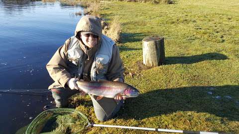 Lawfield Trout Fishery photo